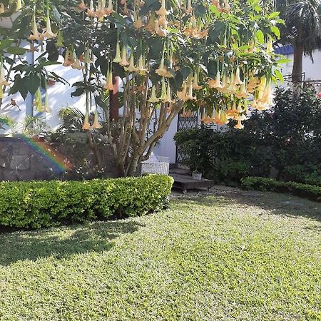 Figtree Guesthouse Maputo Ngoại thất bức ảnh