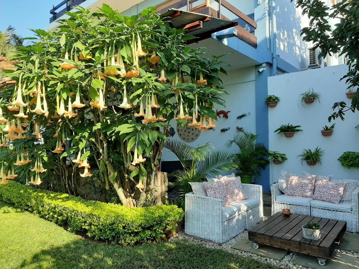 Figtree Guesthouse Maputo Ngoại thất bức ảnh