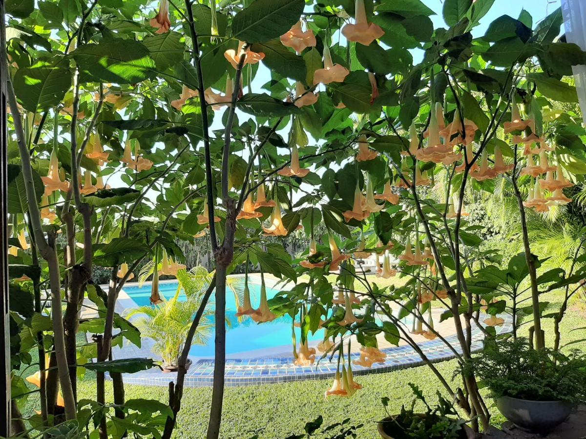 Figtree Guesthouse Maputo Ngoại thất bức ảnh