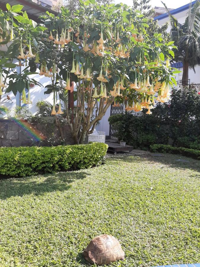 Figtree Guesthouse Maputo Ngoại thất bức ảnh