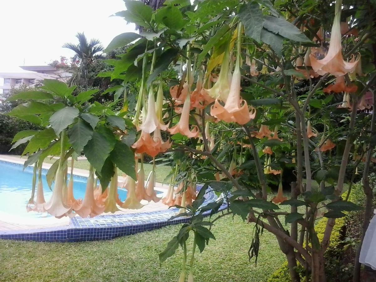 Figtree Guesthouse Maputo Ngoại thất bức ảnh