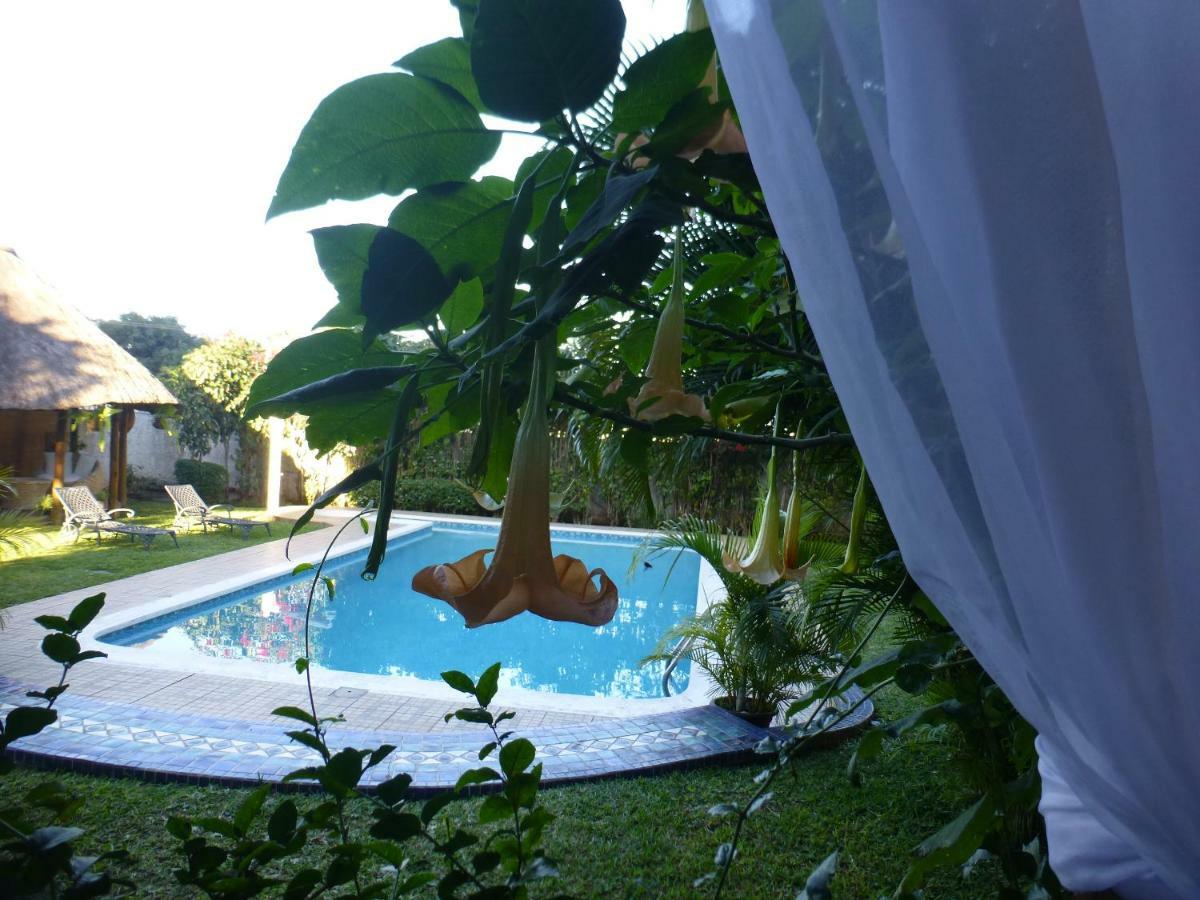 Figtree Guesthouse Maputo Ngoại thất bức ảnh