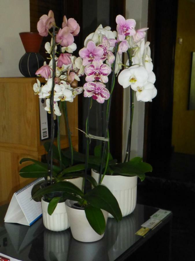 Figtree Guesthouse Maputo Ngoại thất bức ảnh